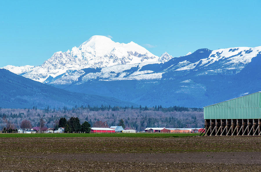 Mt Baker from D Arcy Road Photograph by Tom Cochran