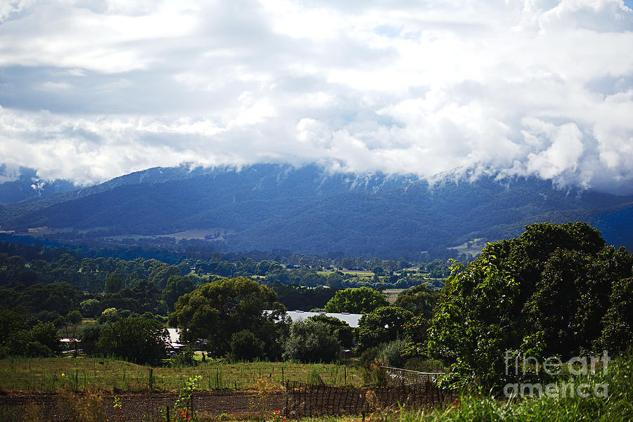 Mt Bogong In the Clouds Photograph by Joy Watson