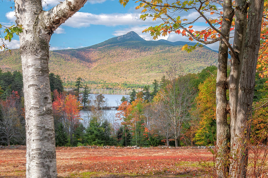 Fall Photograph - Mt Chocorua - New Hampshire  by Photos by Thom