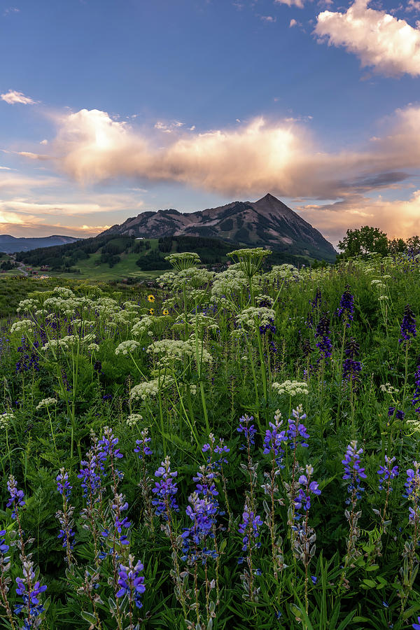 Mt. Crested Butte Sunset Photograph