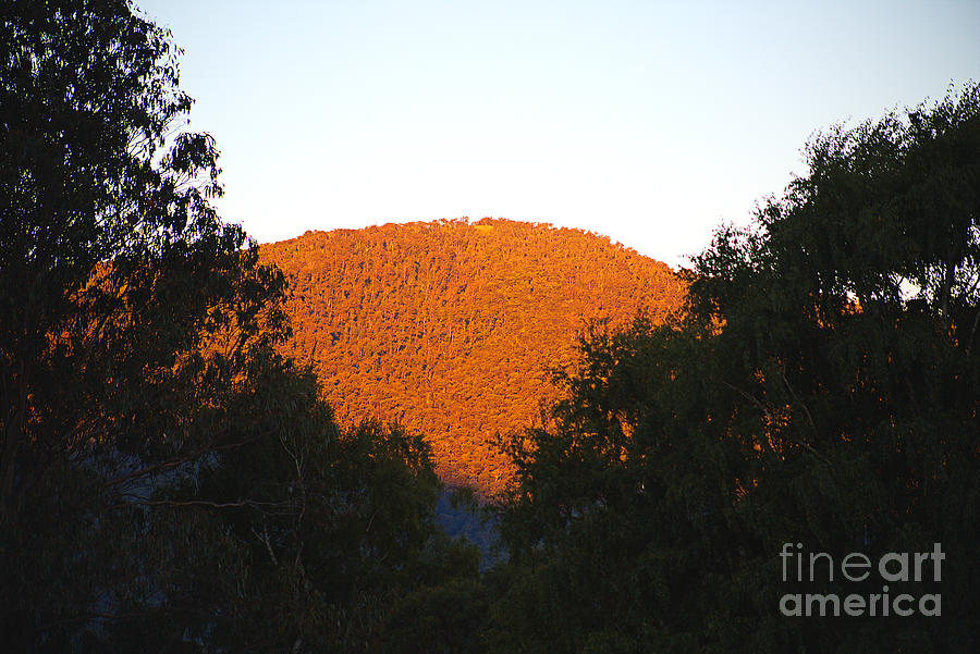 Mt Emu Golden Hour Australia Photograph by Joy Watson
