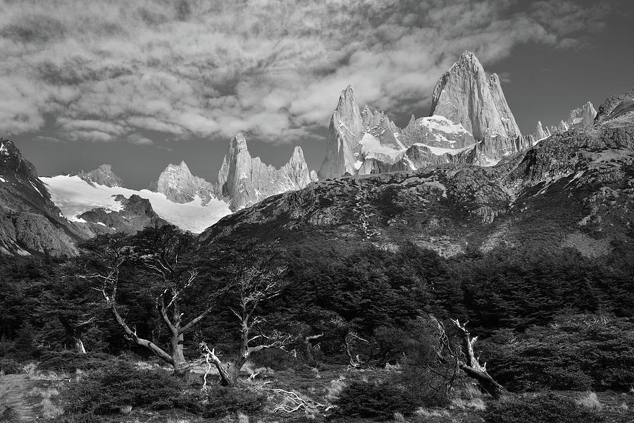 Mt Fitzroy Forrest, Monochrome Photograph by Jonathan Newman - Fine Art ...