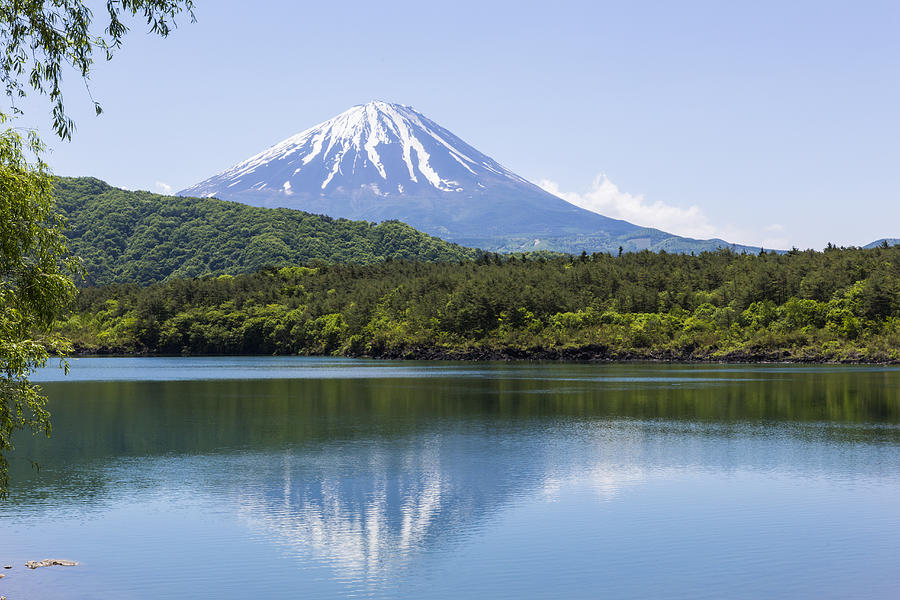 Mt. Fuji reflected in lake, saiko Photograph by Ultra.f