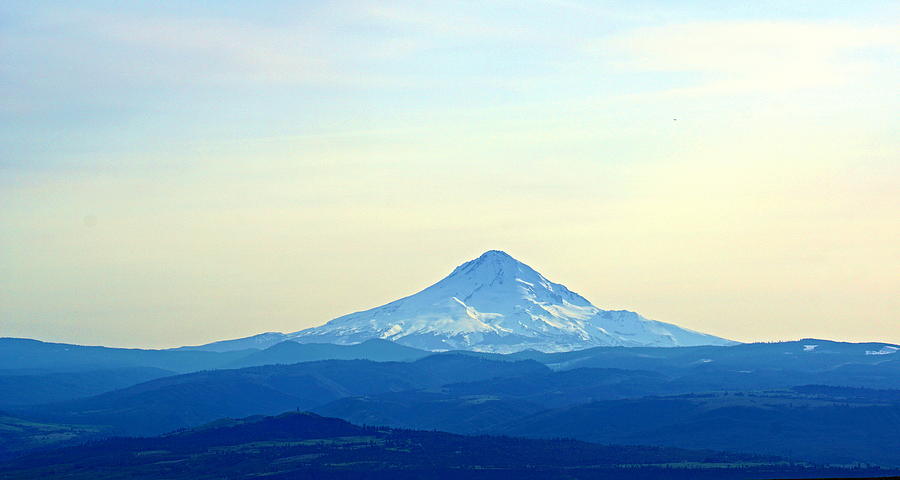 Mt Hood At Dusk Photograph by Bill TALICH