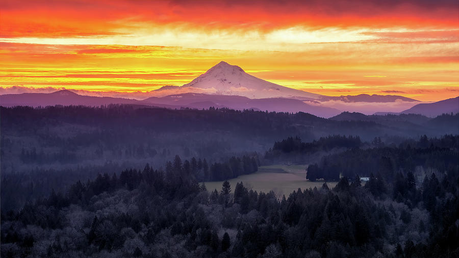 Mt Hood Golden Hour Photograph by Chris Sveen - Fine Art America