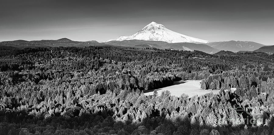 Mt Hood in Black and White, Oregon Photograph by Henk Meijer Photography
