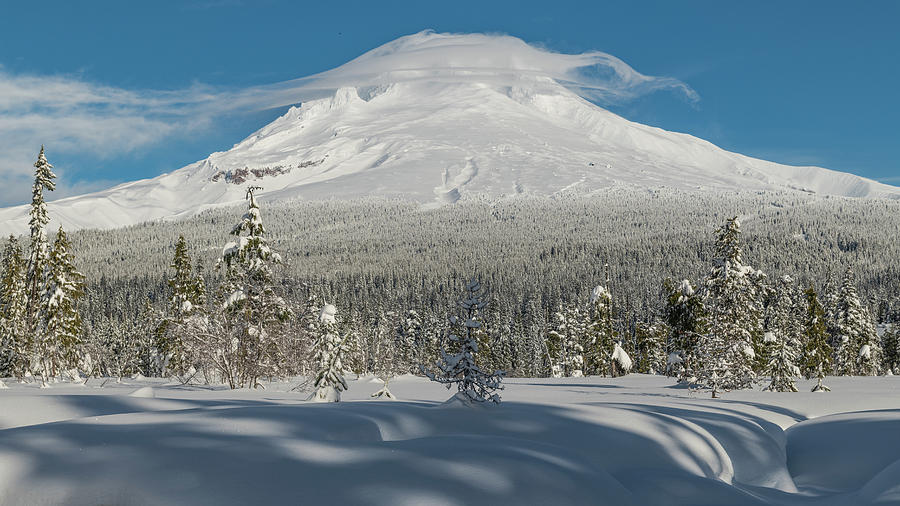 Mt. Hood in Winter Photograph by Patrick Campbell