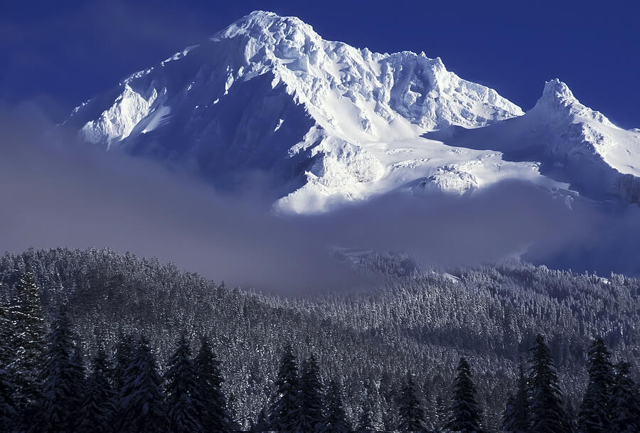 Mt Hood Photograph by Mango Art - Fine Art America