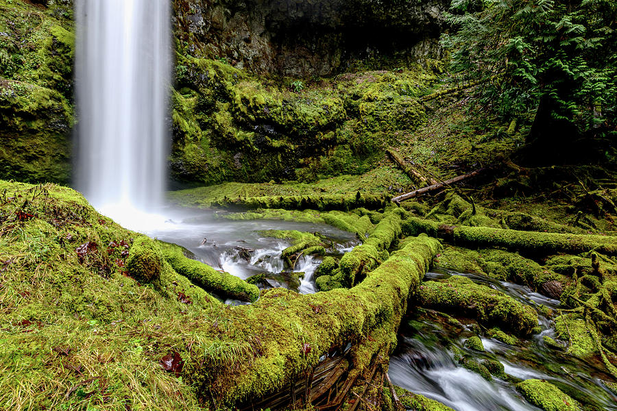 Mt Hood Natl Forest Photograph by John Wilbur Mt Hood Natl Forest Photograph by John Wilbur