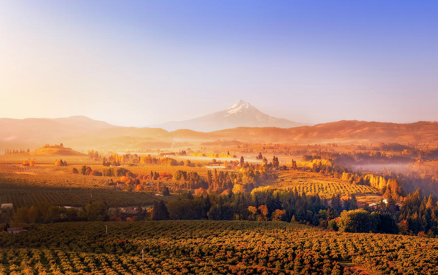 A breathtaking aerial view of Mount Hood, standing tall and proud amidst a stunning autumn landscape Photograph by Chris Anson