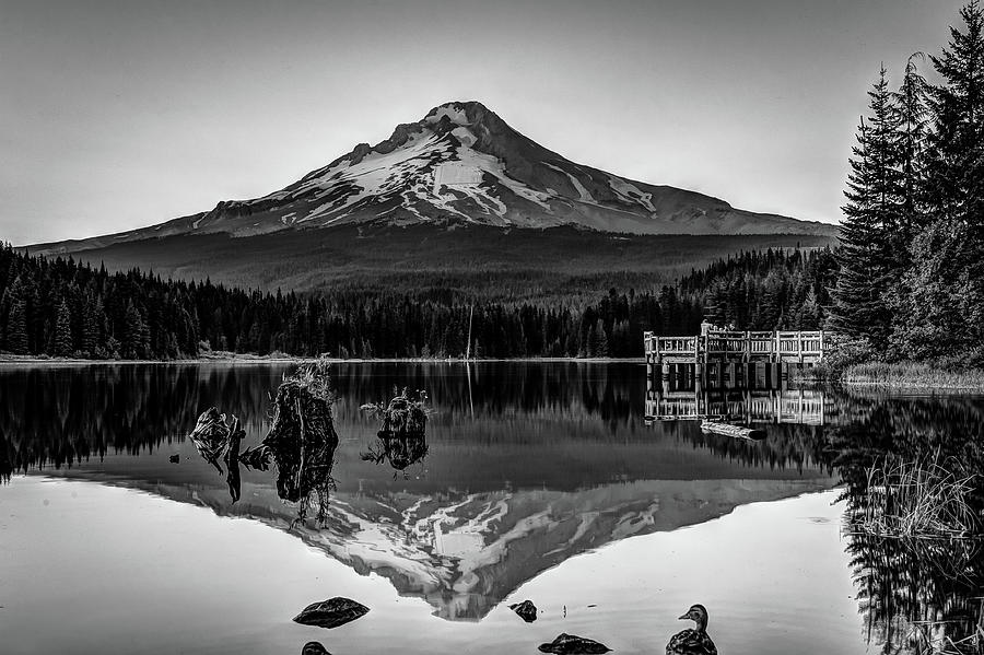 Mt Hood, Oregon Photograph by Dave Wilson