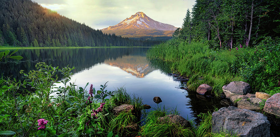 Mt. Hood Reflected in Trilliium Lake Photograph by Michael Ash