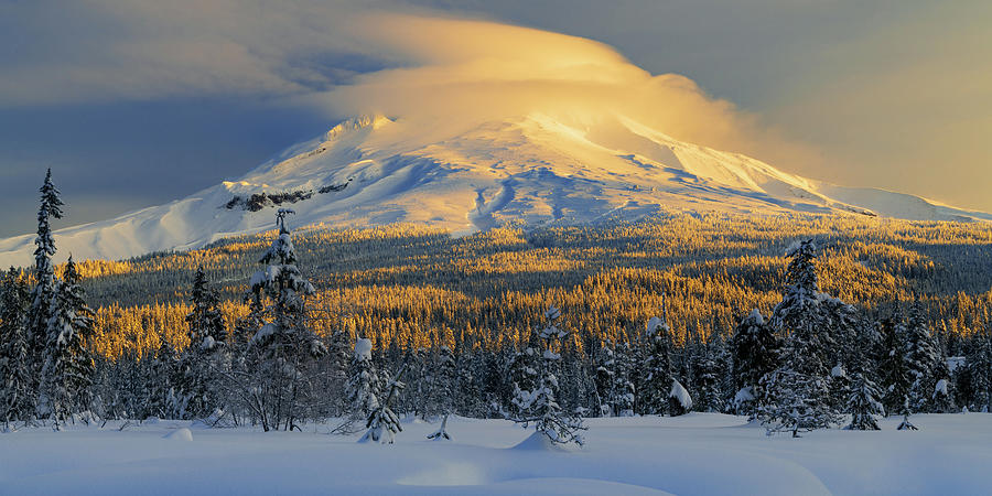 Mt. Hood Winter Sunrise Photograph by Patrick Campbell