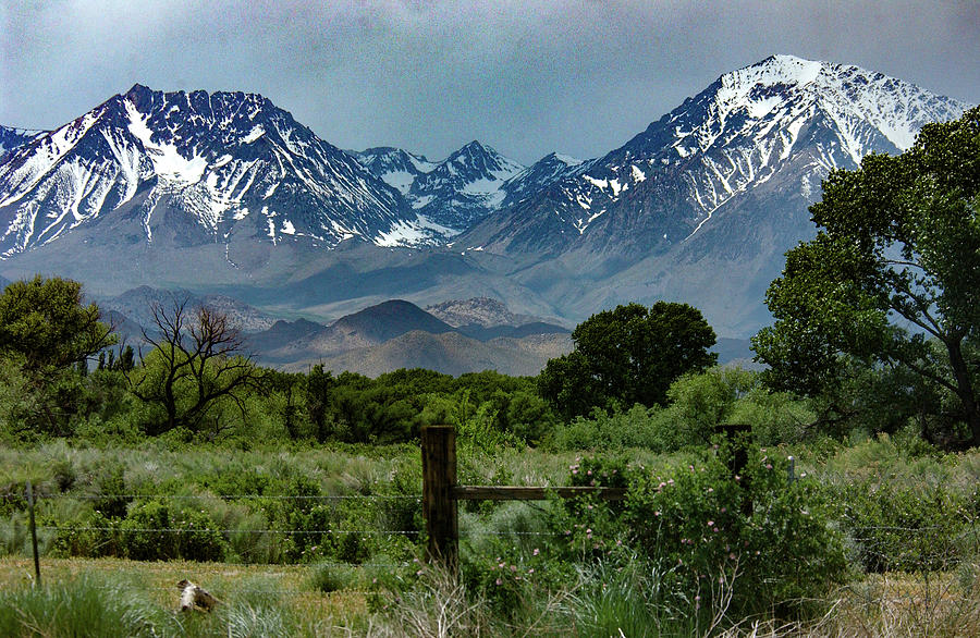 Mt. Humphreys and Basin Mtn from Bishop Photograph by Bonnie Colgan