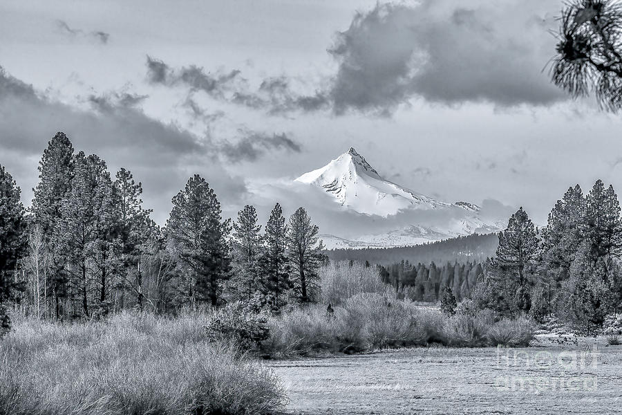 Mt Jefferson Black and White Photograph by David Millenheft