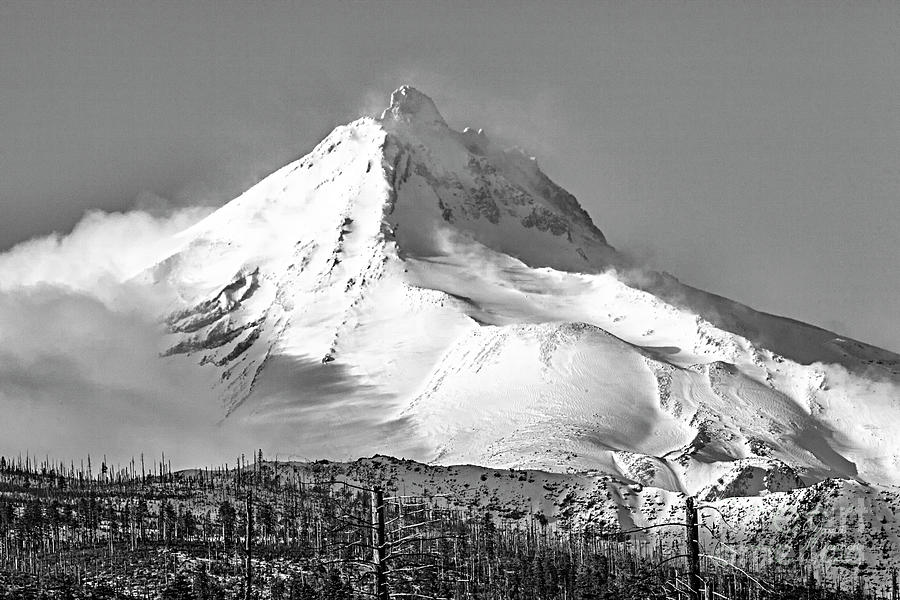 Mt Jefferson Snow Capped Mountain Black and White Photograph by David Millenheft