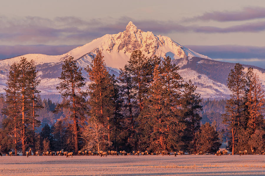 Mt. Washington Sunrise Photograph by Eric DaBreo