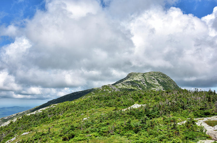 Mt Mansfield, Vermont   Summit Ridge Between The Nose And The Chin