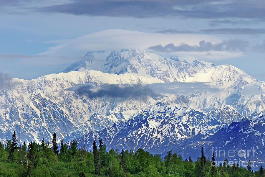 Mt. McKinley Photograph by Gregg Cestaro