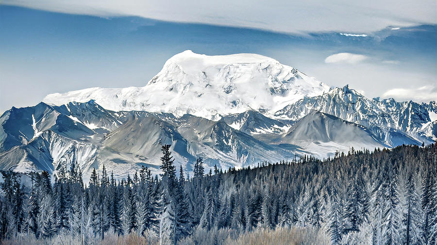 Mt. McKinley Photograph by Maria Coulson