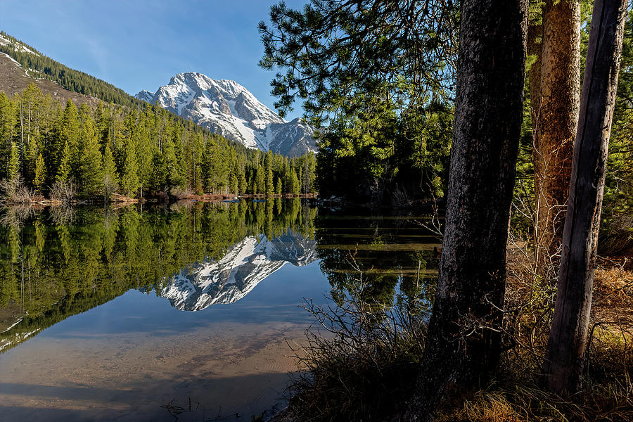 Mt Moran Reflections Photograph by Jack Bell