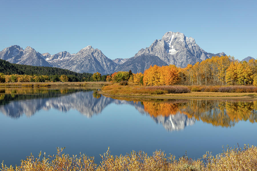 Mt Moran with Fall Colors in Foreground Photograph by Jack Bell