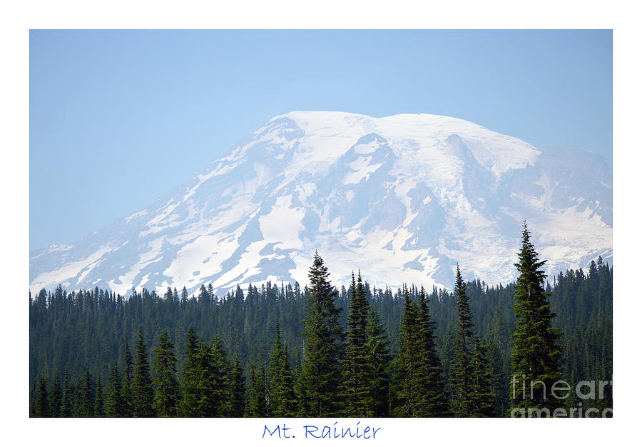 Mt. Rainier and Evergreens Photograph by Carol Eliassen