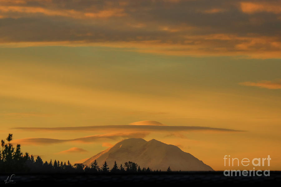 Fall Photograph - Mt. Rainier at Dawn by D Lee
