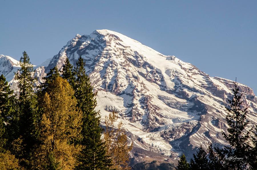 Mt. Rainier Photograph by Curtis Gregory - Fine Art America