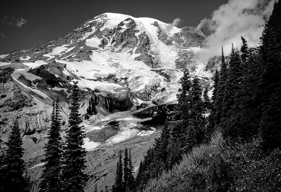 Mt Rainier Photograph by Greg Sigrist