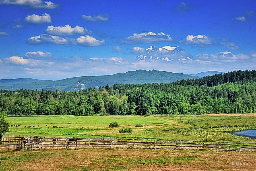 Mt Rainier in The Clouds Photograph by Michael R Anderson - Fine Art ...