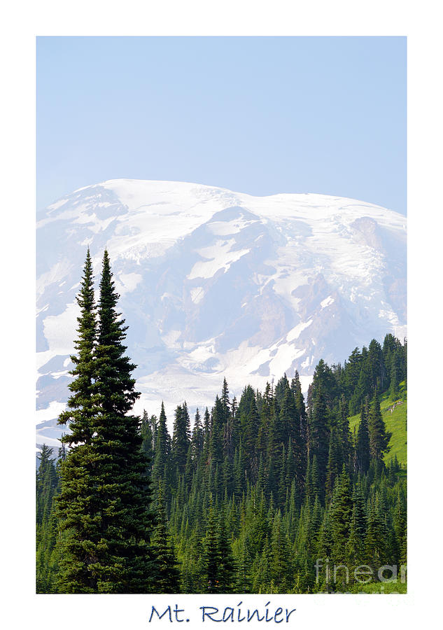 Mt. Rainier Landscape Photograph
