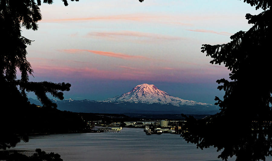Mt Rainier Over The Port Of Tacoma Photograph