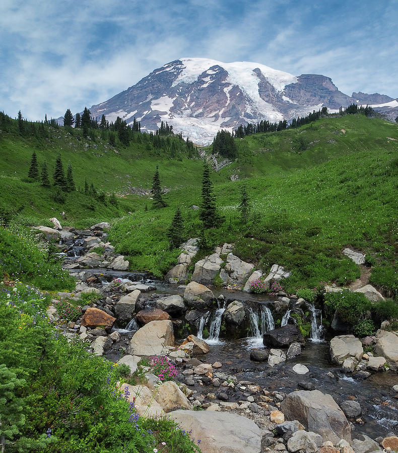 Mt Rainier Paradise Photograph By Dawn Umstot 