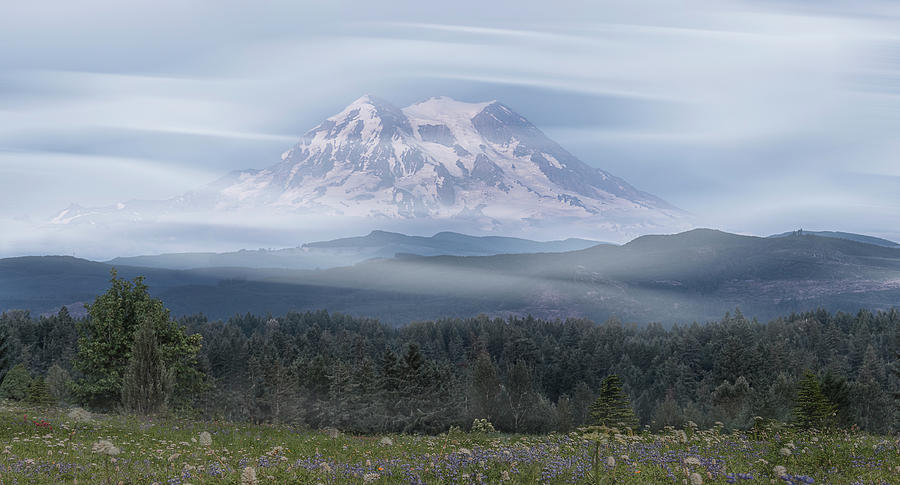 Tree Photograph - Mt. Rainier by Patti Deters
