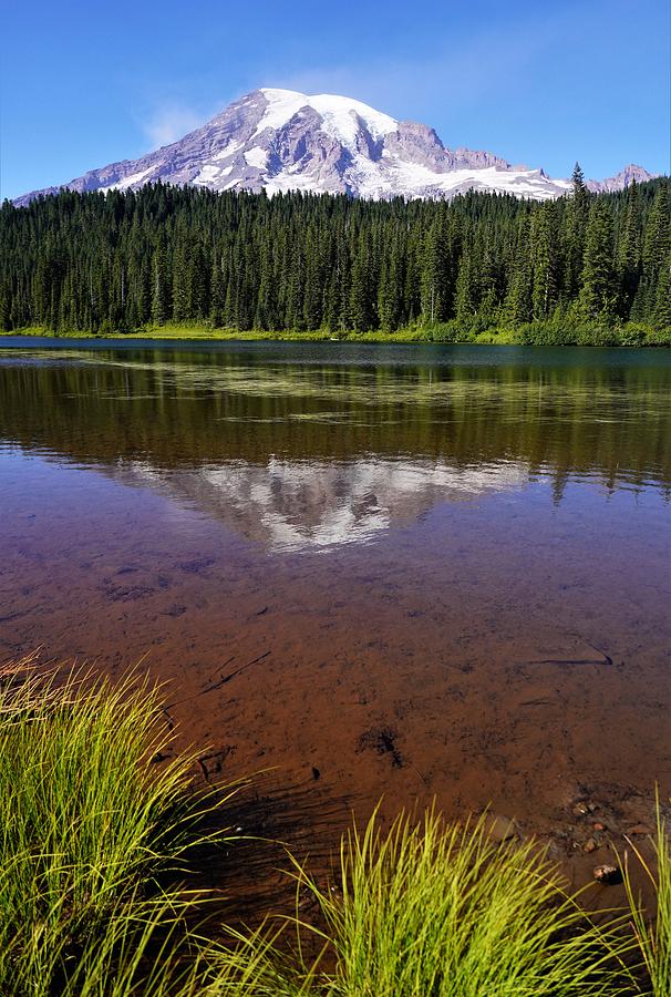 Mt Rainier Reflected Photograph by Peter Mooyman