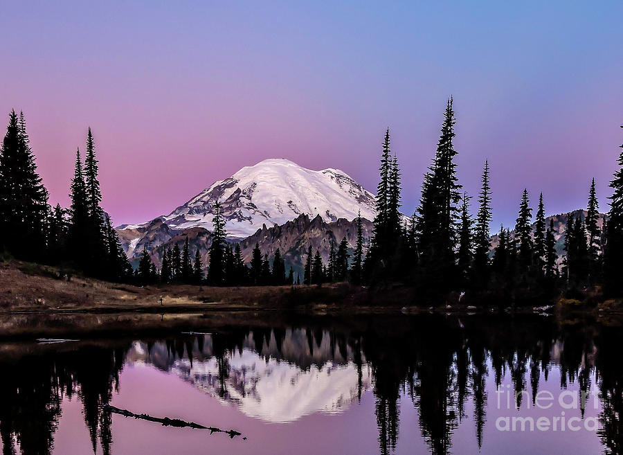 2015 Photograph - Mt Rainier Sunrise Tipsoo by Tony Porter 2015 Photograph - Mt Rainier Sunrise Tipsoo by Tony Porter