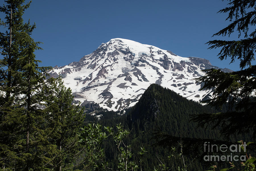 Mt. Rainier Through The Trees Photograph by Suzanne Luft