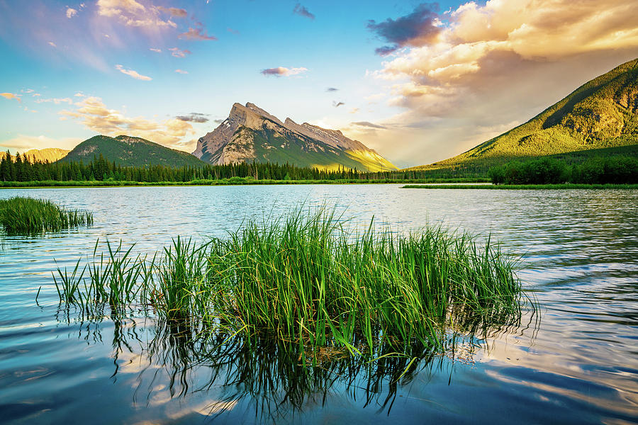 Mt. Rundle and Vermillion Lakes Photograph by Rose and Charles Cox