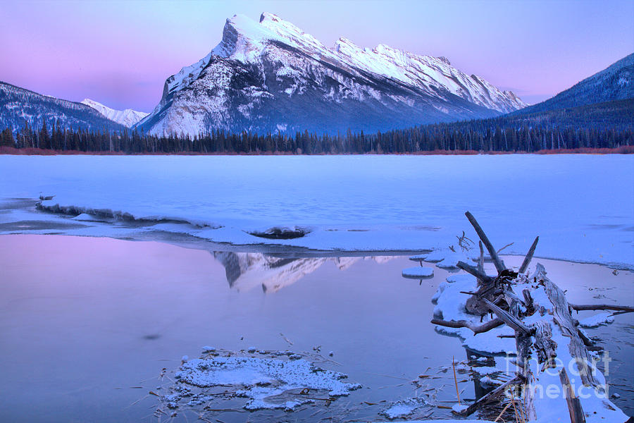 Mt. Rundle Purple Reflections Photograph by Adam Jewell