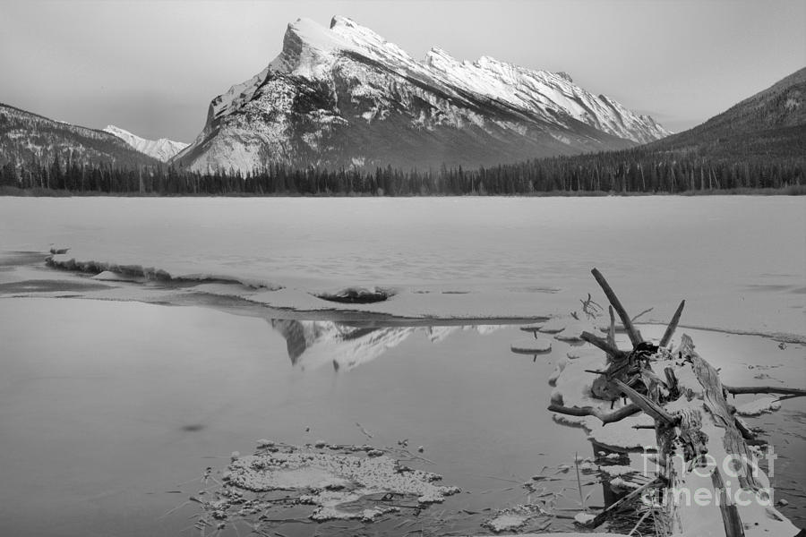 Mt. Rundle Purple Reflections Black And White Photograph by Adam Jewell