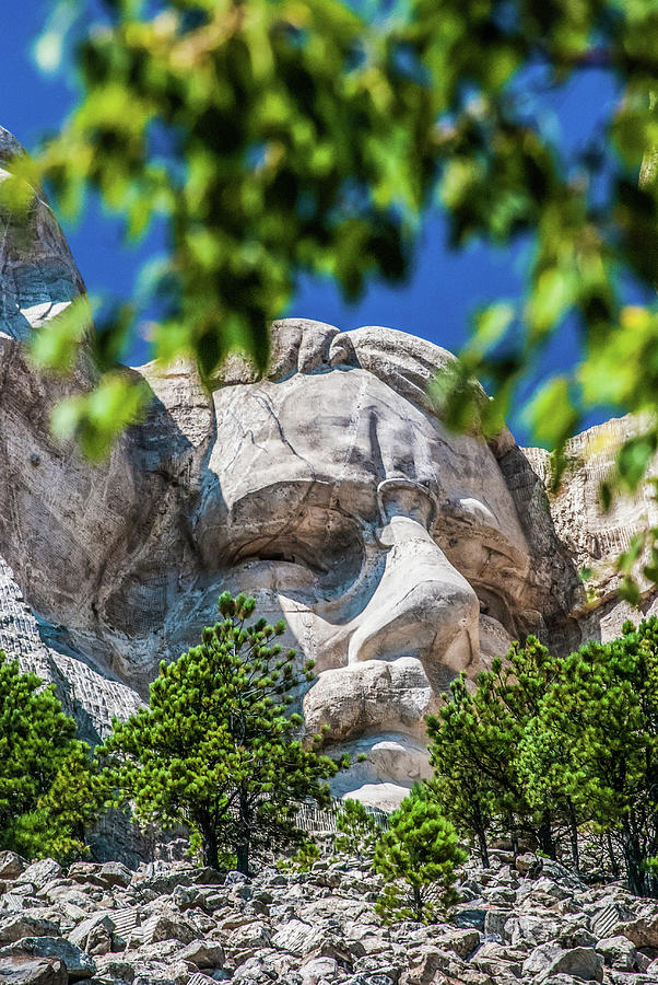 Mt. Rushmore, FDR Photograph by Gordon Sarti