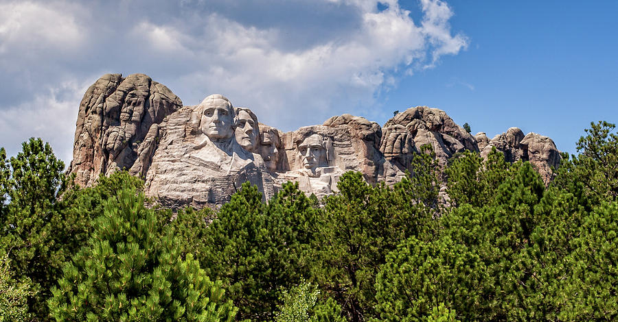 MT Rushmore Trees Photograph by Chris Spencer
