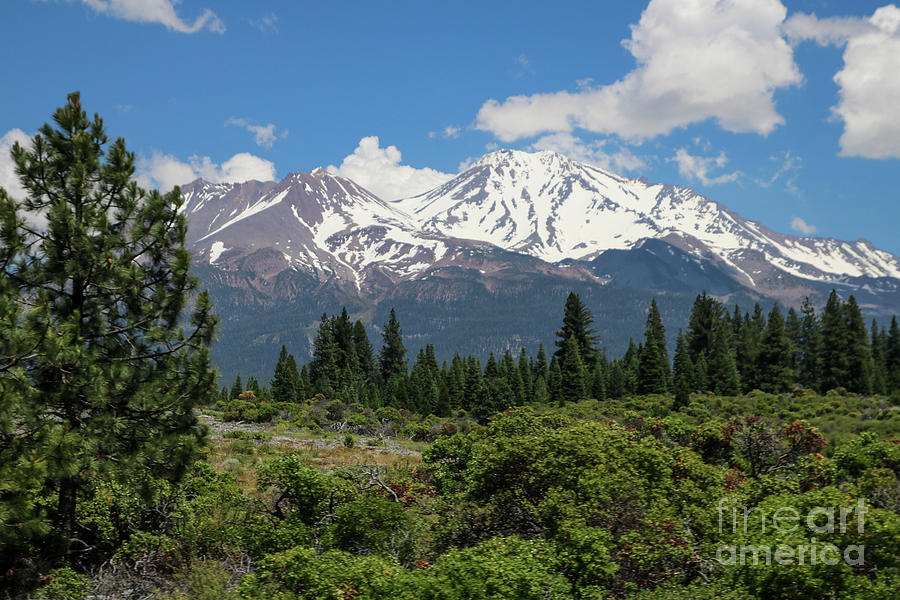 Mt. Shasta From Hwy 5 Photograph by Suzanne Luft