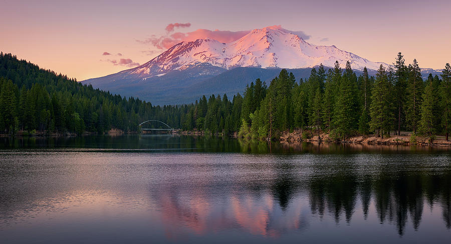 Mt. Shasta Photograph by Peter Boehringer