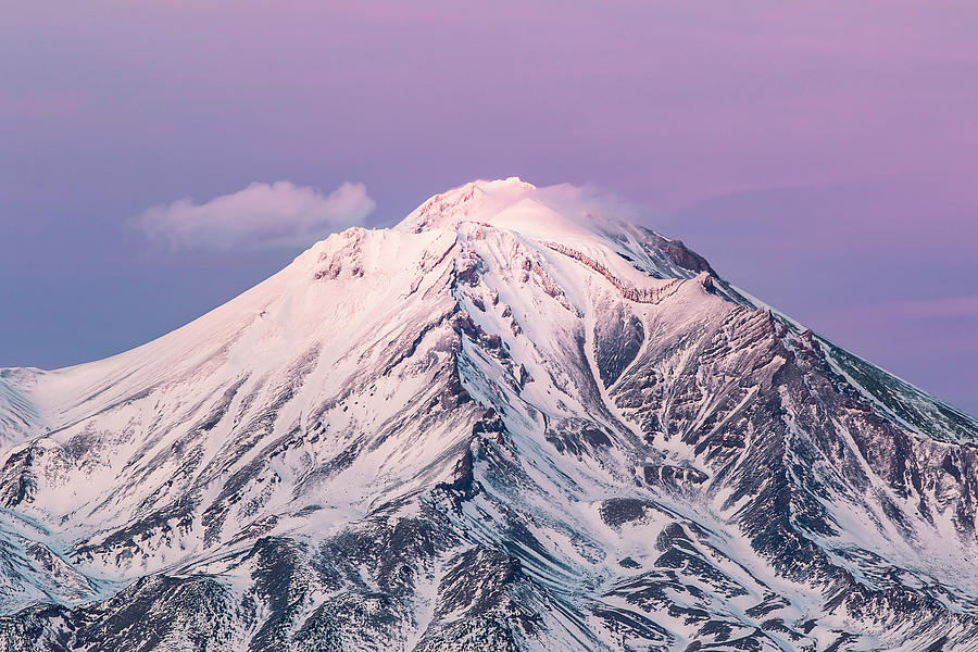 Mt. Shasta Pretty N Pink Photograph by Gary Geddes