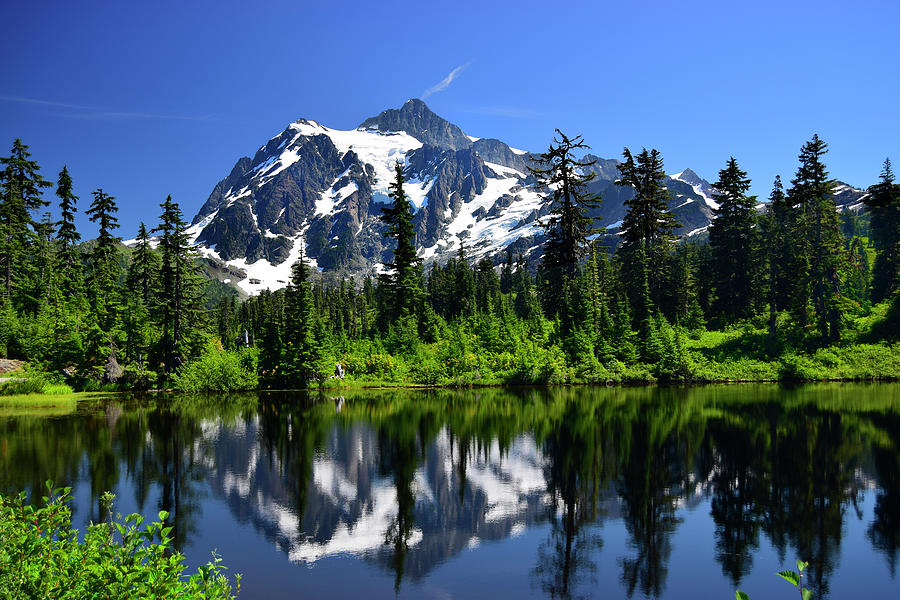 Mt. Shuksan Photograph by Richard Norman - Fine Art America