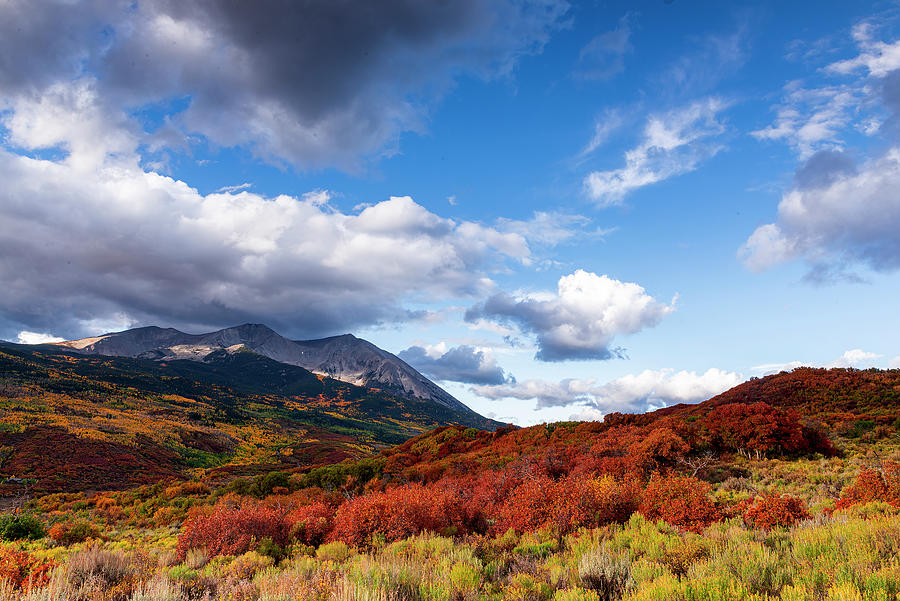 Mt. Sopris View Photograph by Tim Reaves