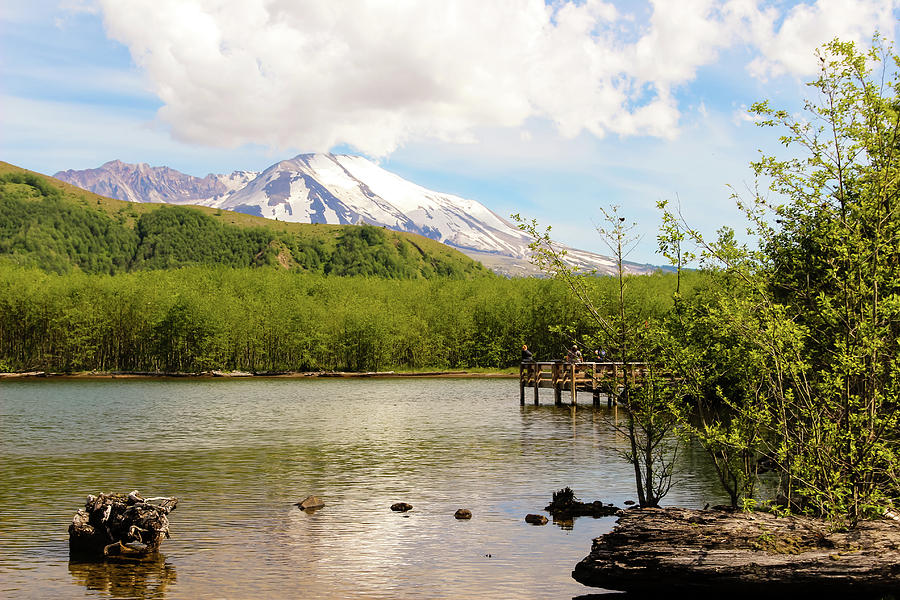 Mt St Helens from Coldwater Lake Photograph by Aashish Vaidya
