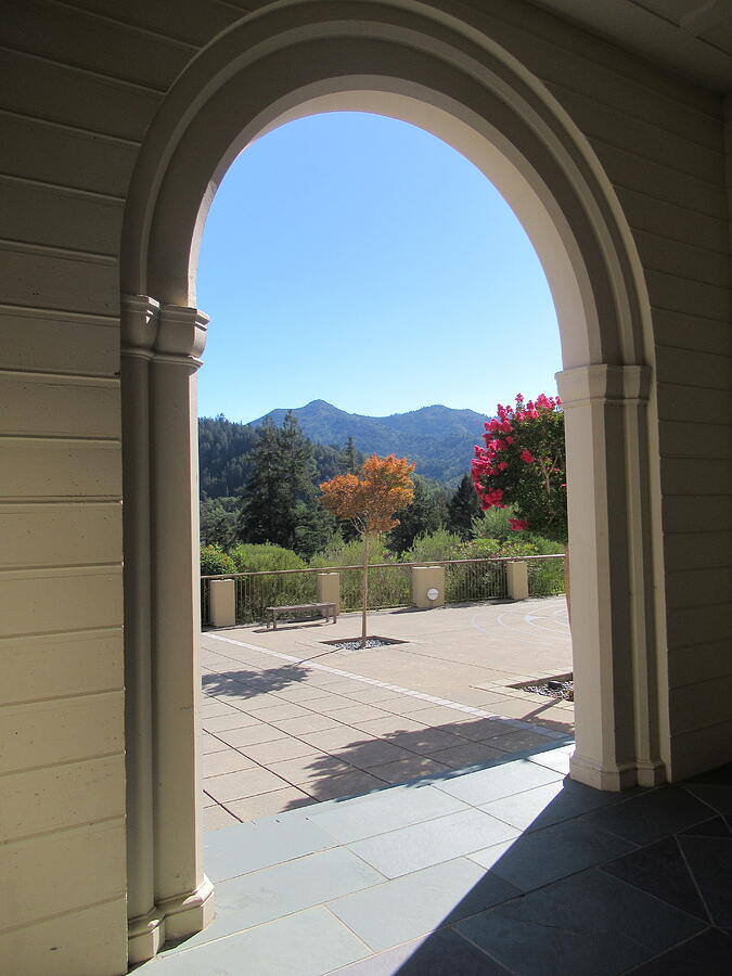 Mt Tamalpais Arch Flowers Photograph by Mhana Mason - Fine Art America